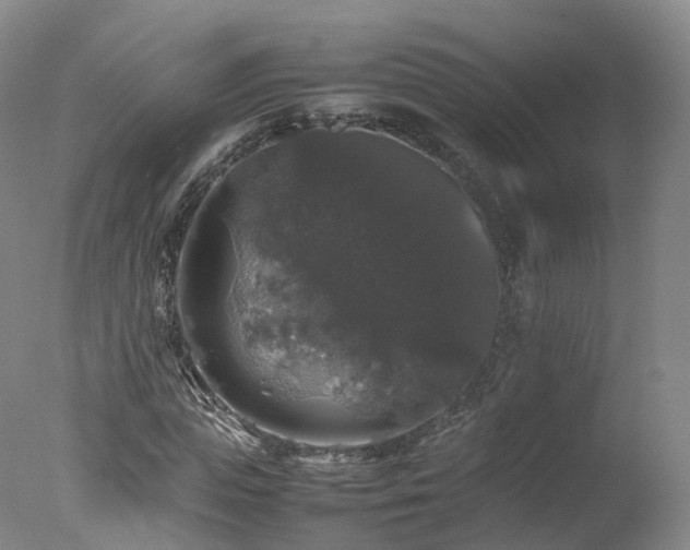 X0000078020823200610271231