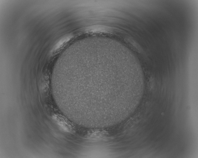 X0000078020824200610271231