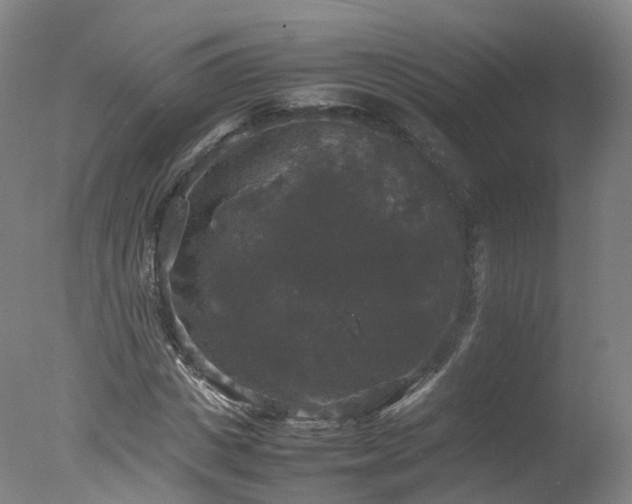 X0000078020825200610271231