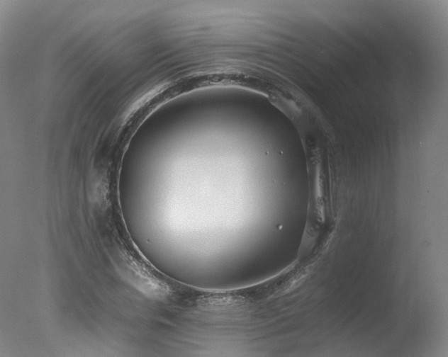 X0000078020826200610271231