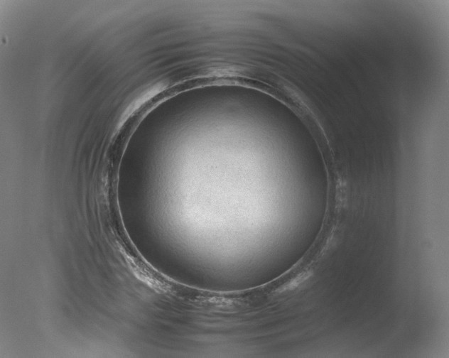 X0000078020827200610271231