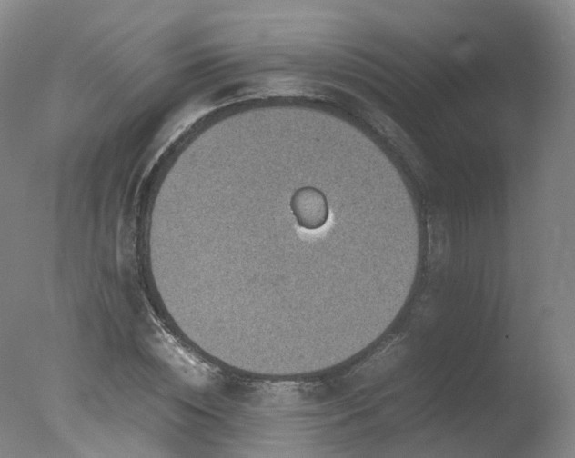 X0000078020828200610271231