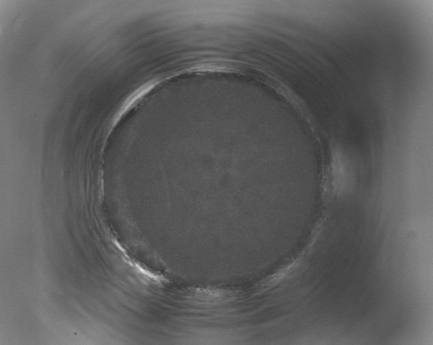 X0000078020829200610271231