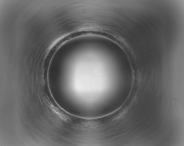 X0000078020830200610271231