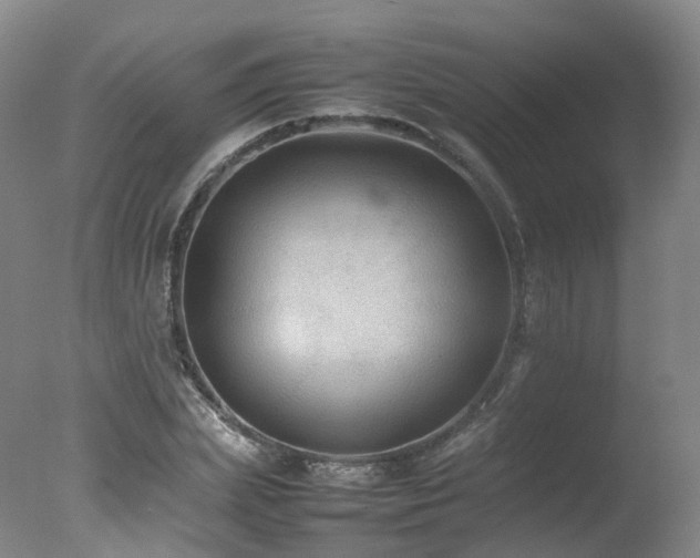 X0000078020831200610271231