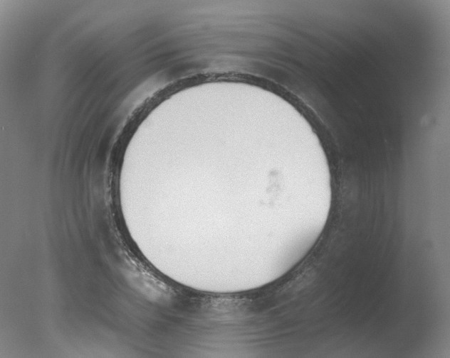 X0000078020832200610271231