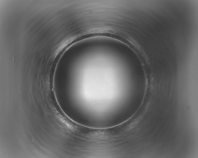 X0000078020834200610271232