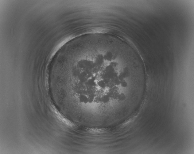 X0000078020835200610271232