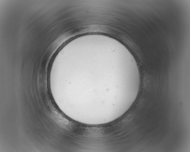 X0000078020836200610271232