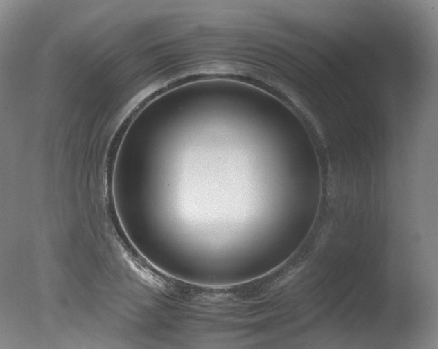 X0000078020837200610271232