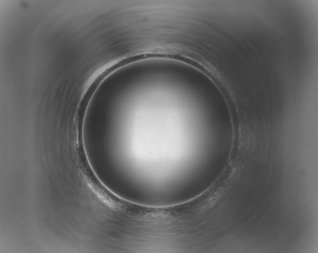 X0000078020838200610271232