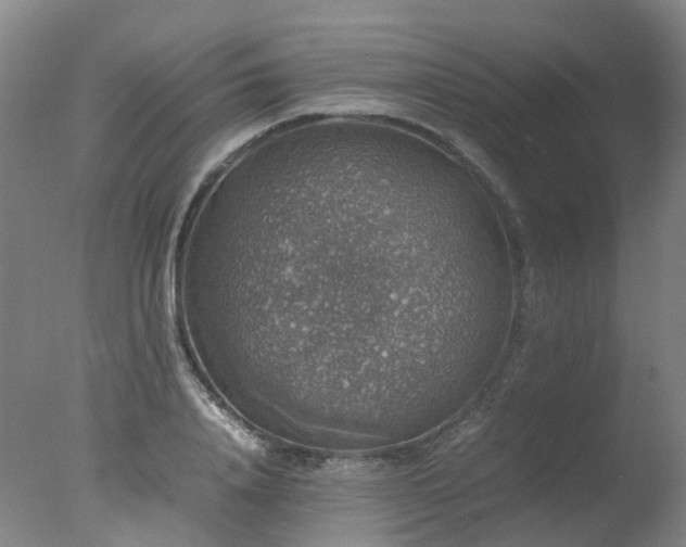 X0000078020840200610271232