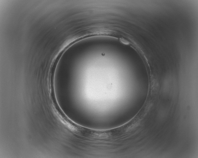 X0000078020843200610271232