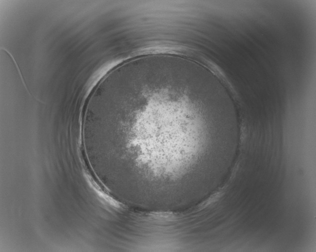 X0000078020844200610271232