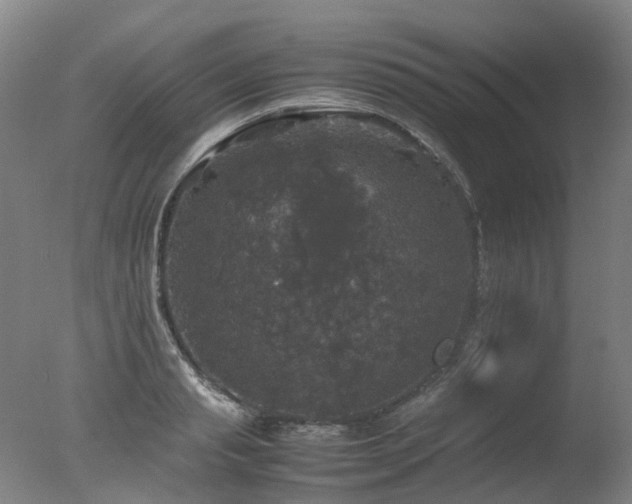 X0000078020845200610271232