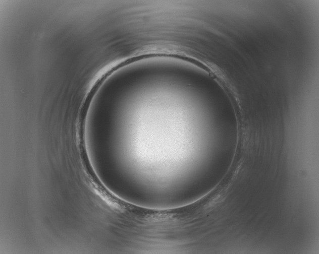 X0000078020846200610271232