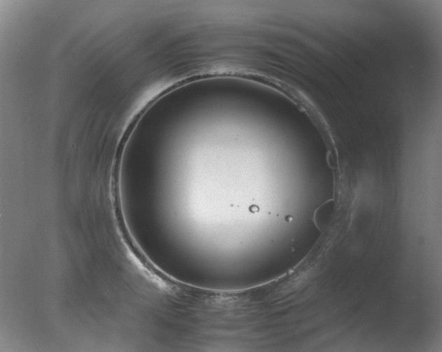 X0000078020847200610271232