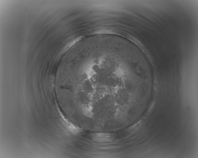 X0000078020849200610271232