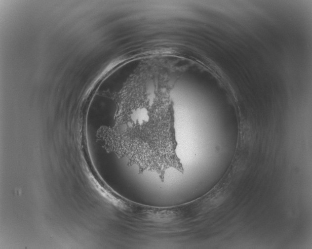 X0000078020851200610271232