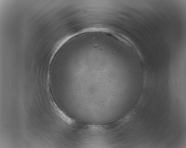 X0000078020852200610271232