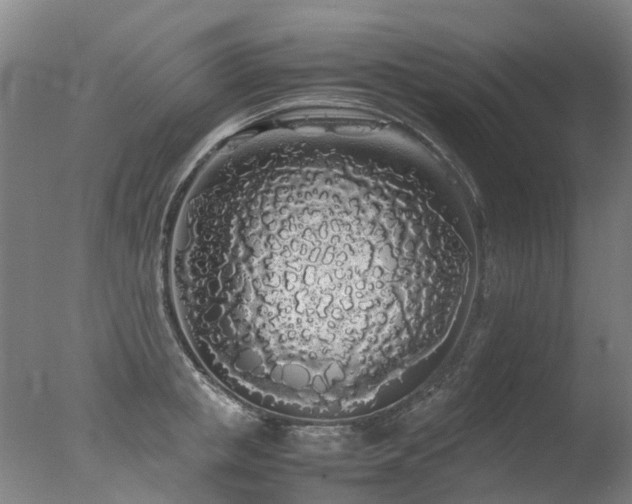 X0000078020853200610271232