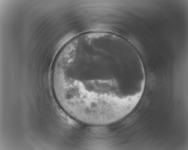 X0000078020856200610271232