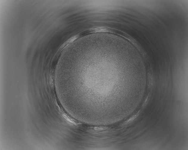 X0000078020857200610271232