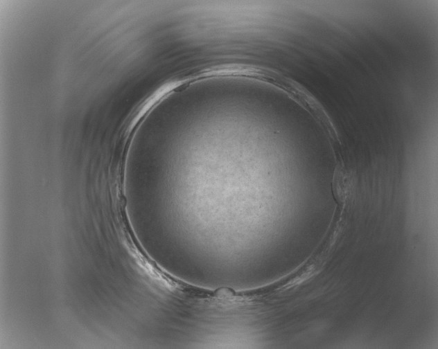 X0000078020860200610271232