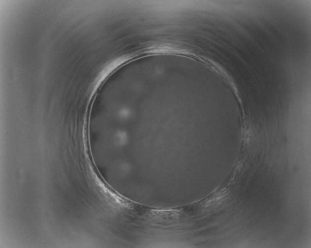 X0000078020863200610271232