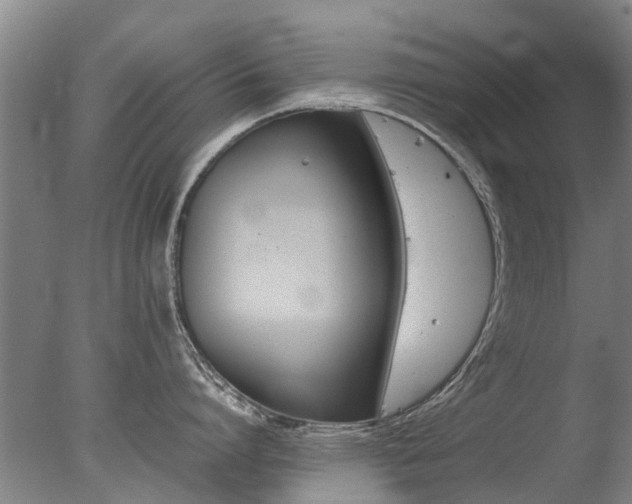 X0000078020864200610271232