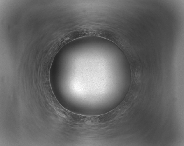 X0000078020865200610271231