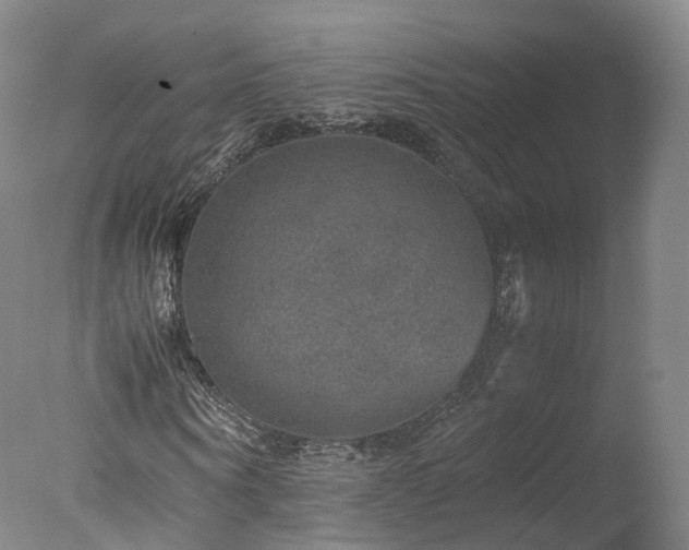 X0000078020866200610271231