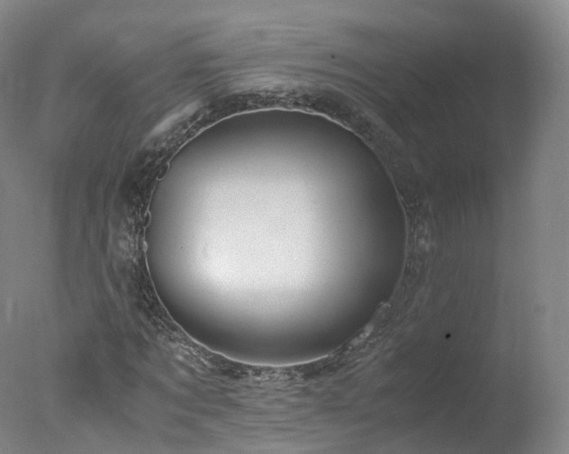 X0000078020869200610271231