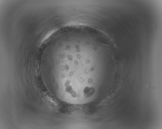 X0000078020871200610271231