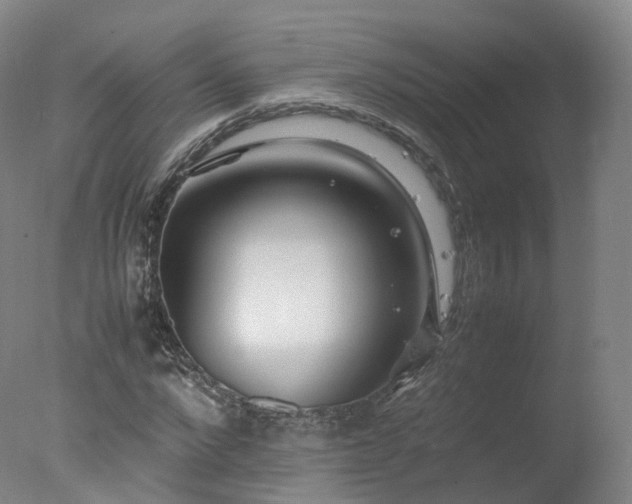 X0000078020872200610271231