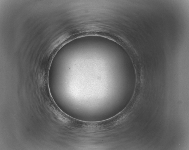 X0000078020873200610271231