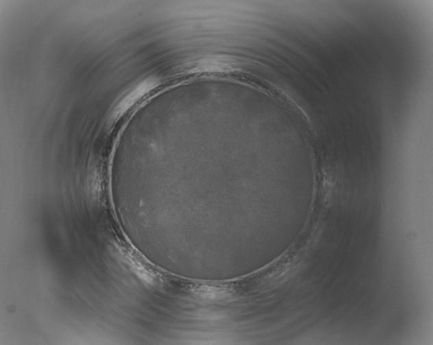 X0000078020874200610271231