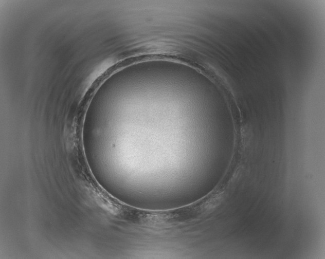 X0000078020875200610271231