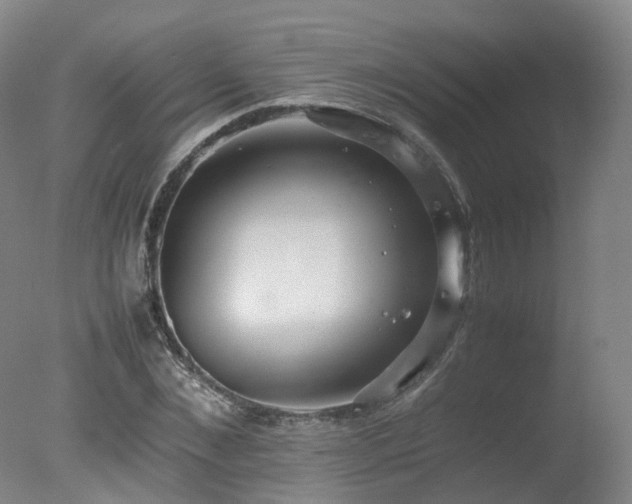 X0000078020876200610271231