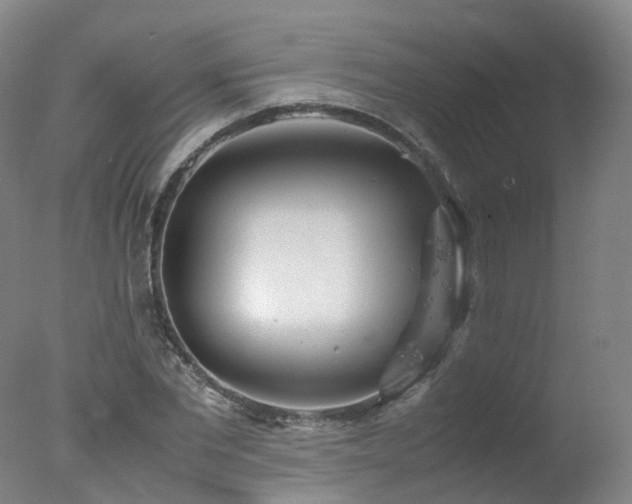 X0000078020877200610271231