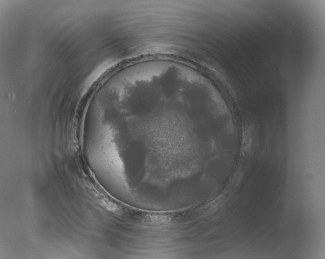 X0000078020878200610271231