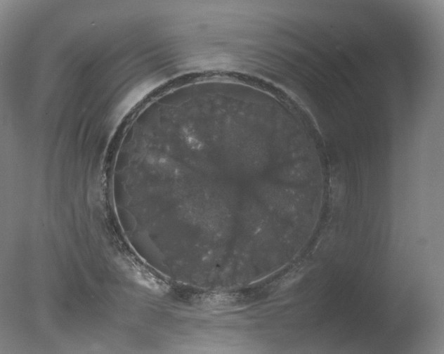 X0000078020879200610271231