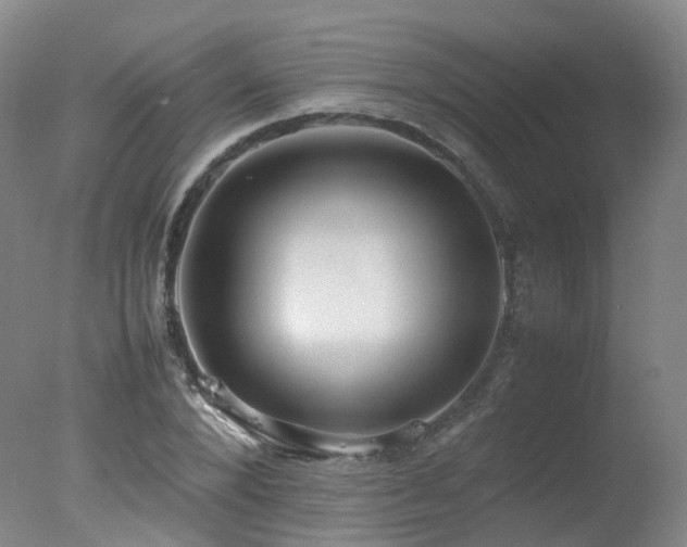 X0000078020880200610271231