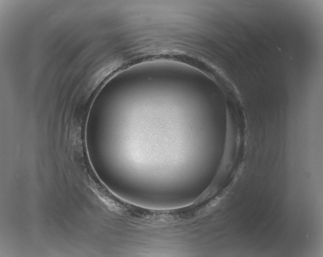 X0000078020881200610271231