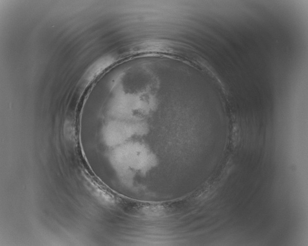 X0000078020882200610271231