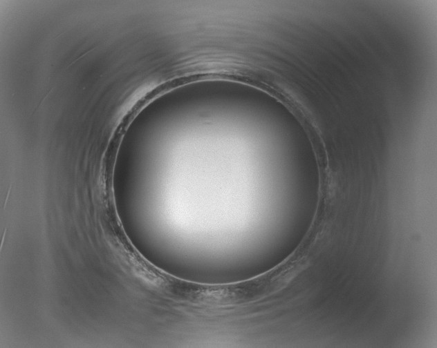 X0000078020883200610271231