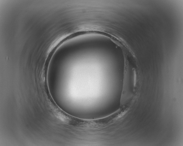 X0000078020885200610271231