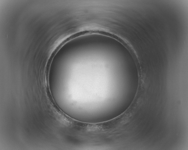 X0000078020887200610271231