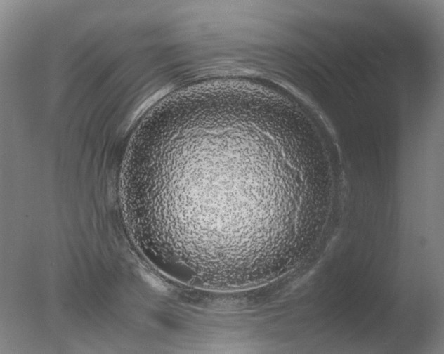 X0000078020889200610271231