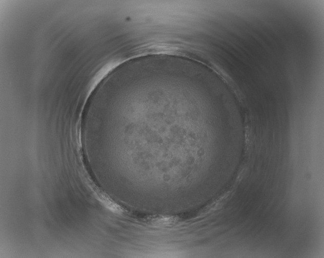 X0000078020891200610271231